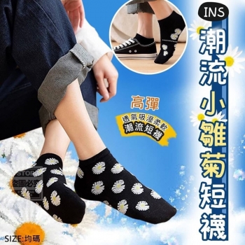 INS潮流小雛菊短襪(10雙/包)混裝
