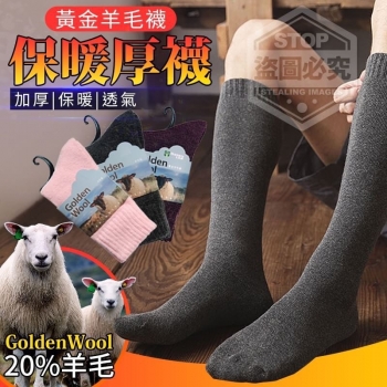 台灣製造GoldenWool黃金羊毛襪保暖厚襪(預購)