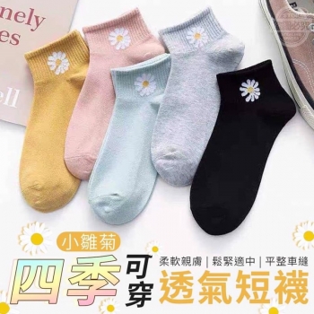 (10雙/組)小雛菊四季可穿透氣短襪